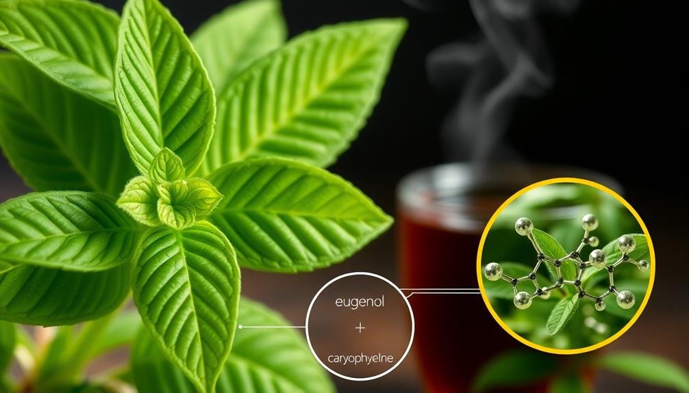 holy basil s beneficial compounds